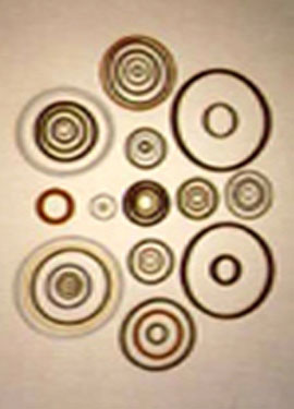 V-Rings, O-Rings & Quad Rings In Kolkata